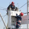 В 2020 году "Россети Ленэнерго" отремонтируют свыше 3600 км линий электропередачи - Локус - комплексные поставки для ВОЛС, линий электропередачи, подстанций 