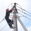 "Россети Ленэнерго" в первом квартале заменили 719 км провода на линиях электропередачи в Петербурге и Ленобласти - Локус - комплексные поставки для ВОЛС, линий электропередачи, подстанций 
